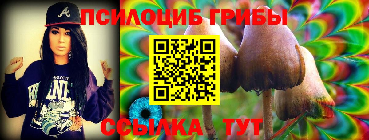 Галлюциногенные грибы Magic Shrooms Краснознаменск
