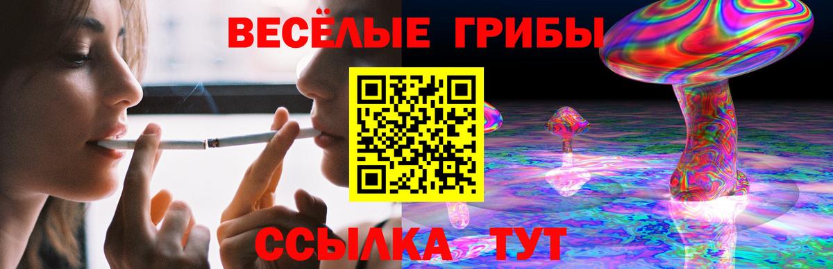 Галлюциногенные грибы Cubensis  Псилоцибиновые грибы Magic Shrooms  Вход с VPN  Краснознаменск 