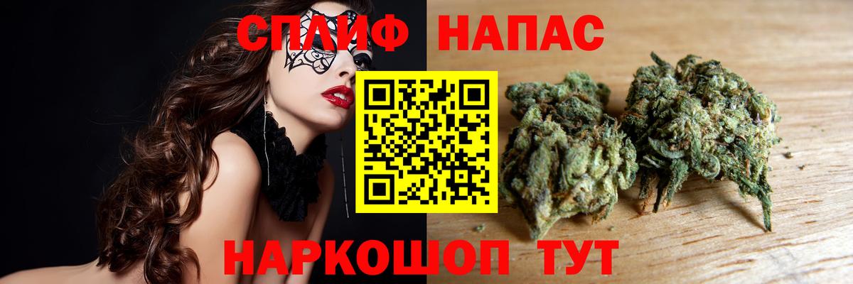 Каннабис планчик Краснознаменск